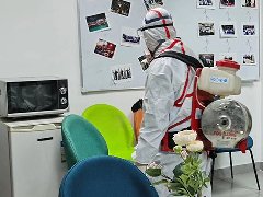 <b>企业办公除蟑螂</b>