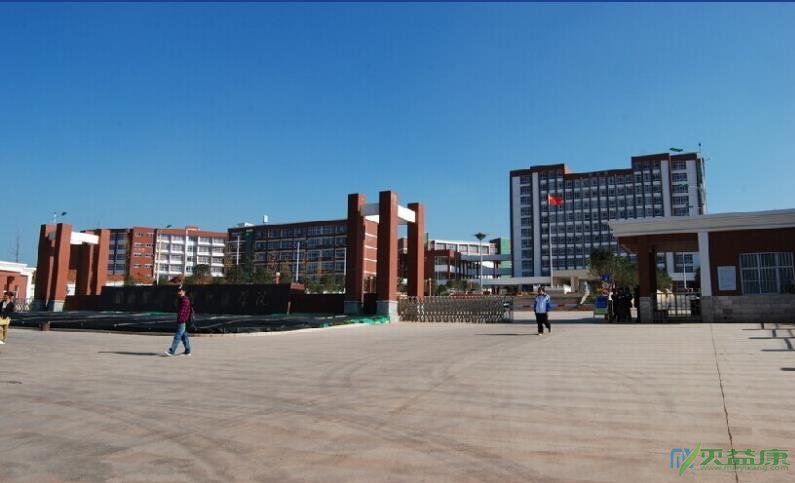 学校校园杀虫案例