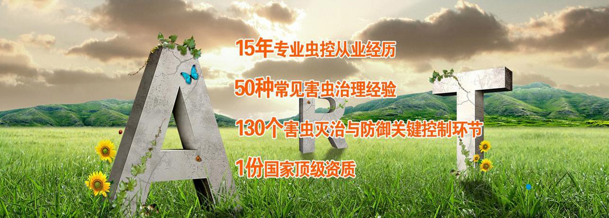 虫控与生活蔬菜健康息息相关